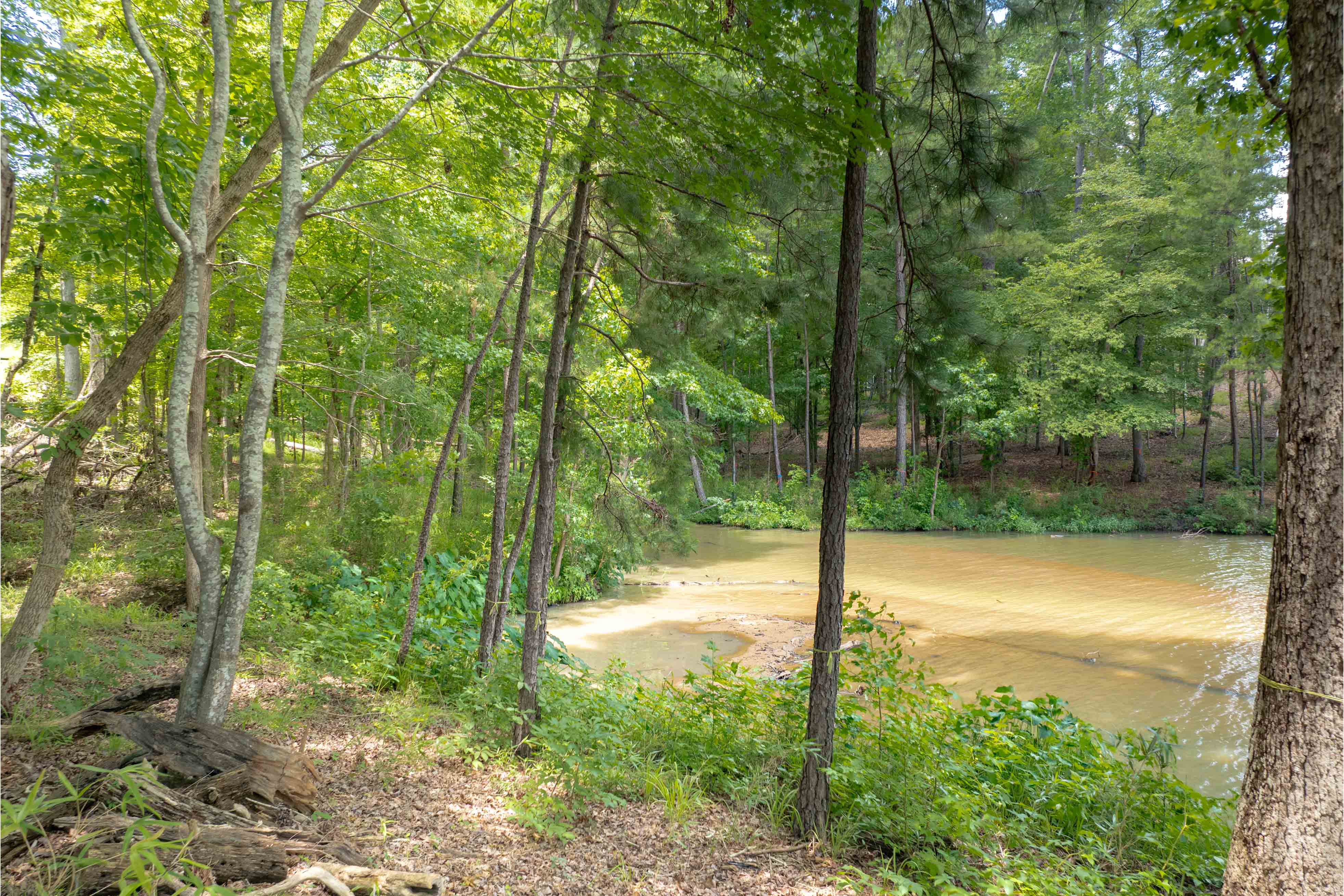 1100 High Bluff Lane image 13